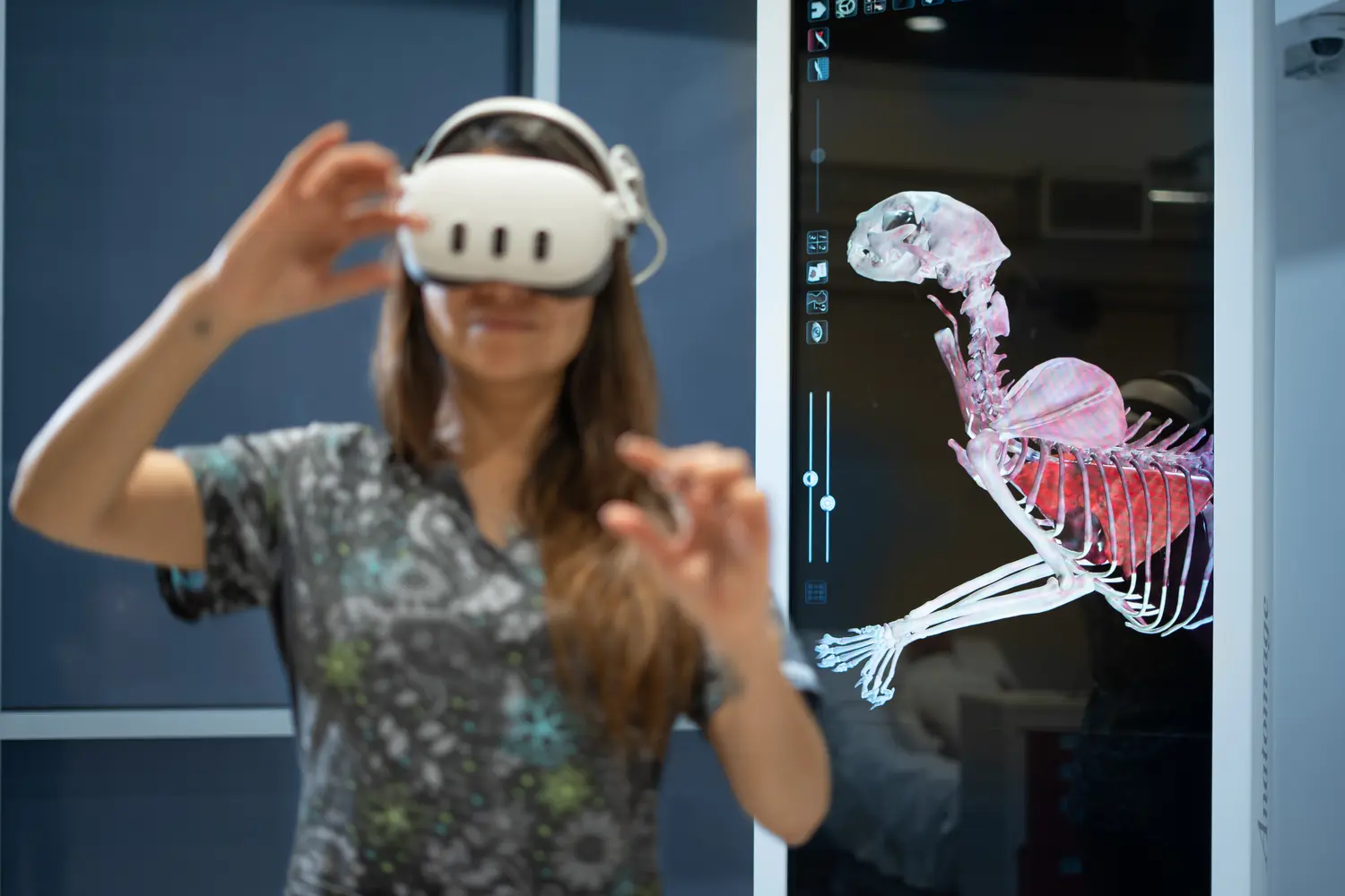 simulación con imagen 3d skilltraining